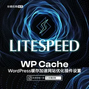 LiteSpeed Cache｜WordPress缓存加速网站优化｜插件安装设置教程｜Tutorial